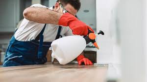 Best Pest Control for Multi-Family Homes  in Springdale, PA